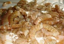 GUYANA TRADE AT A GLANCE Guyana, Seafood Industry