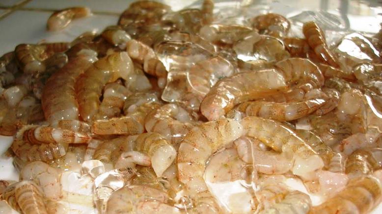 Guyana, Seafood Industry