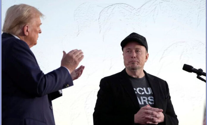 DOGED BLOCKED BY JUDGES...TRUMP MUSK