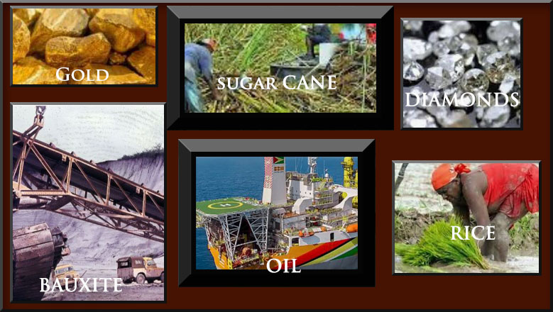 GUYANA NATURAL RESORCES