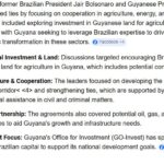 LEVERAGE BOLSONARO