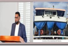 GUYANA: Ali Establishes Expert Team