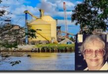 GUYANA: Linden Power Supply